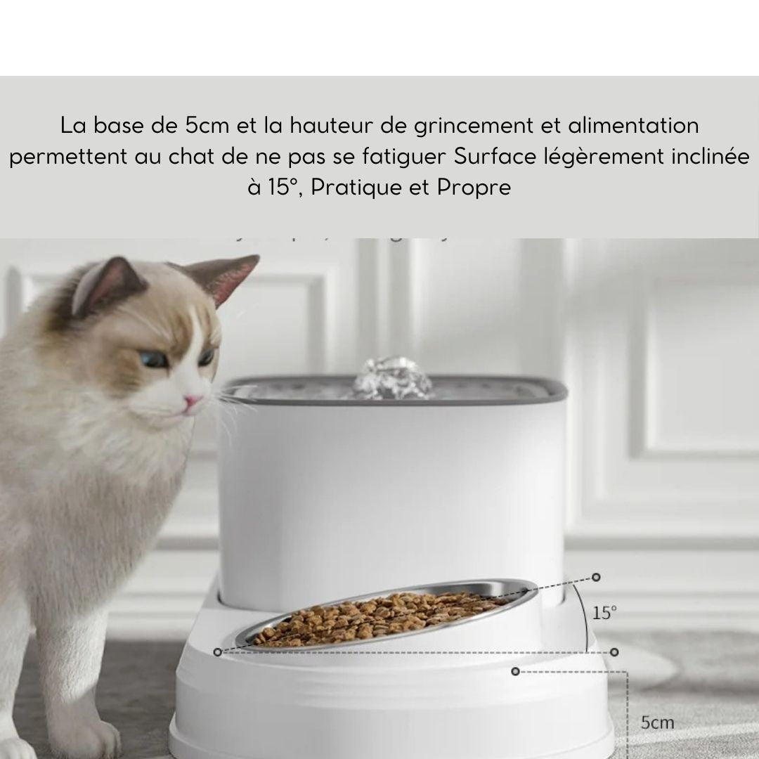 Fontaine à eau 2 en 1 pour chat-FontaChat™ - chatduchesse