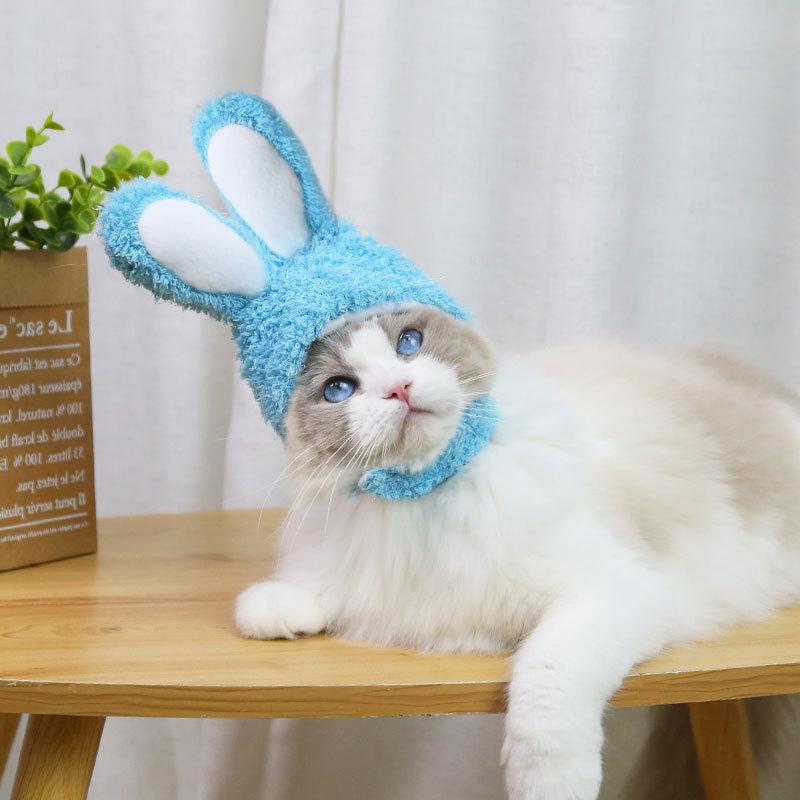 RabbitHat™ - Accessoire de déguisement pour chat - chatduchesse