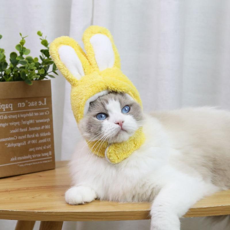 RabbitHat™ - Accessoire de déguisement pour chat - chatduchesse